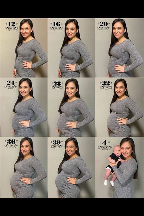 reddit babybump|baby bump size by month.